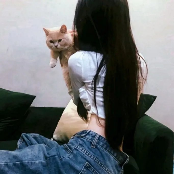 狮子王：木法沙
