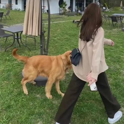 暖暖，请多指教